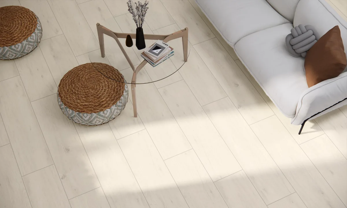 Tree Bone in a living space