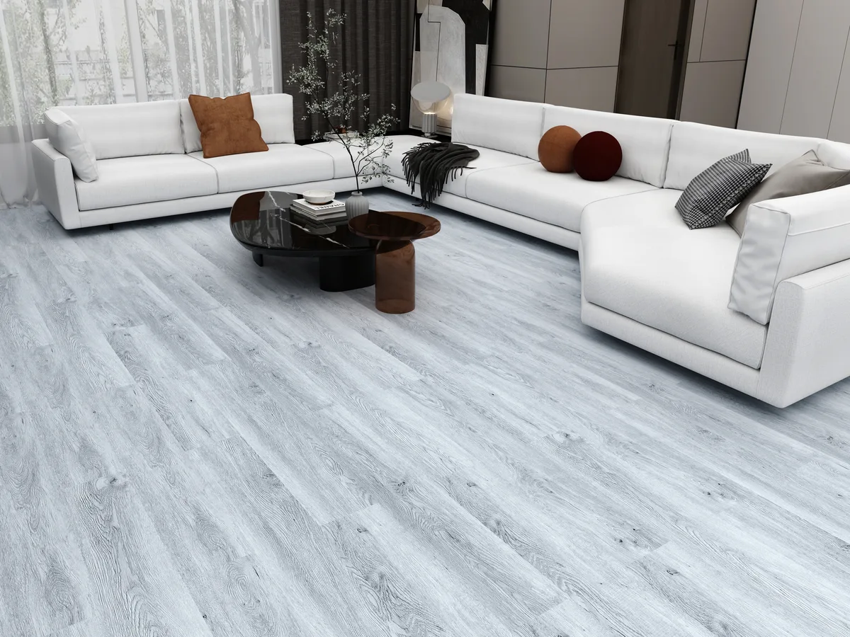 Eagle Pearl in a living space