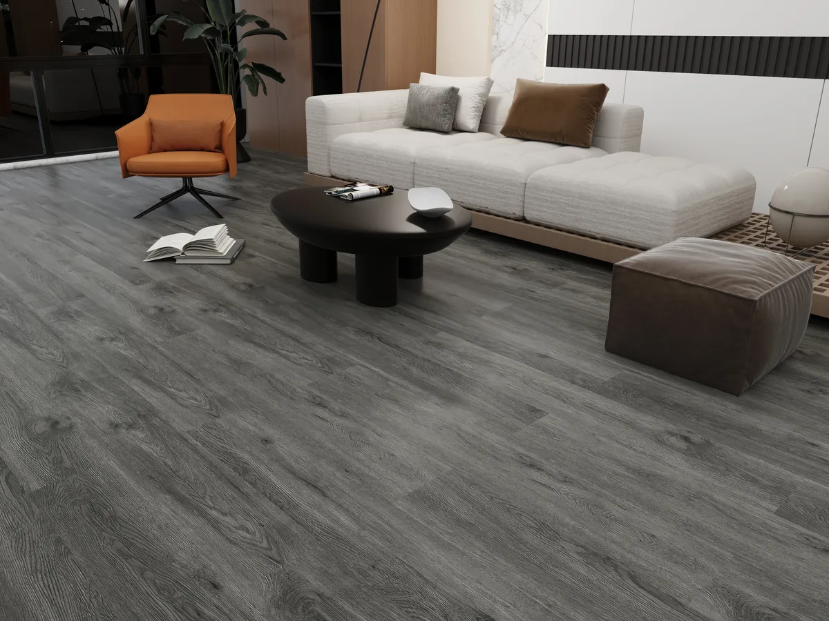 Forest Grey in a living space