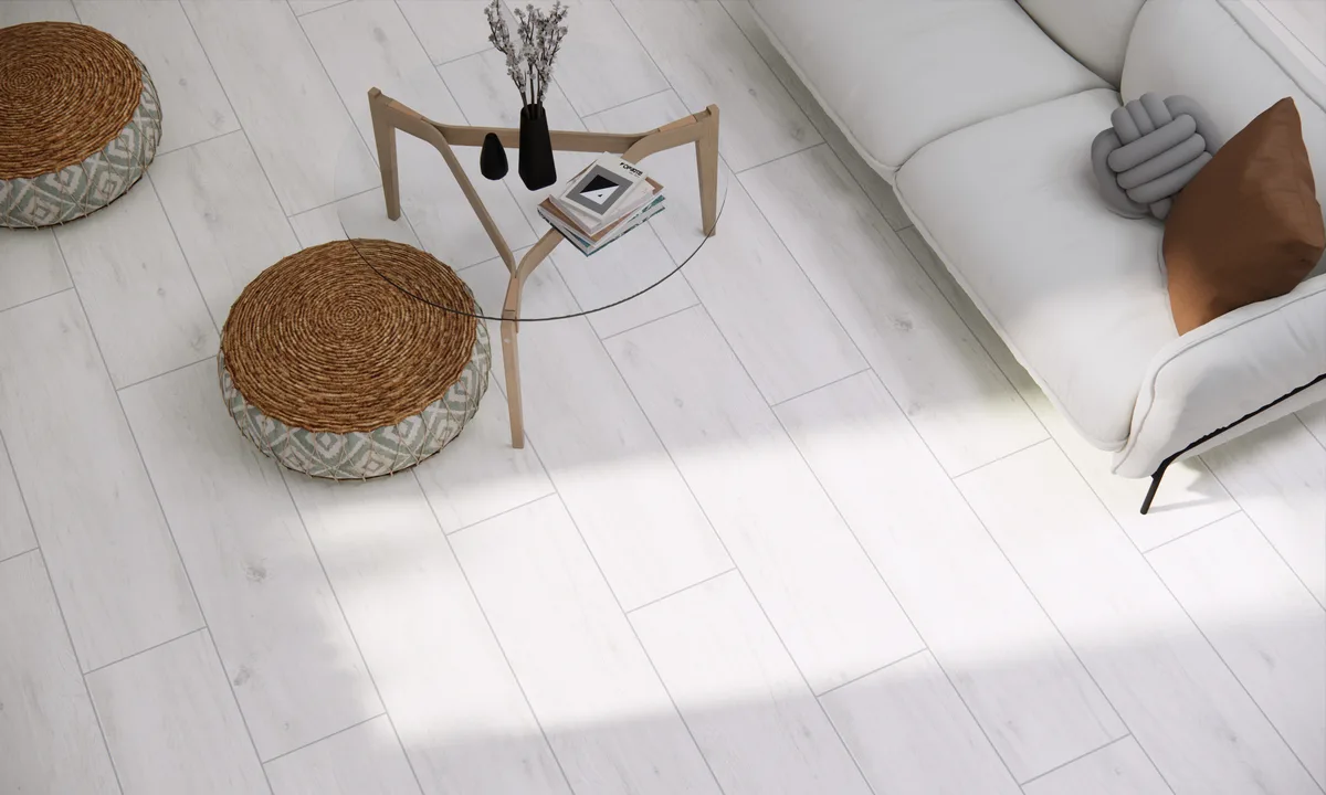 Tree Bone in a living space