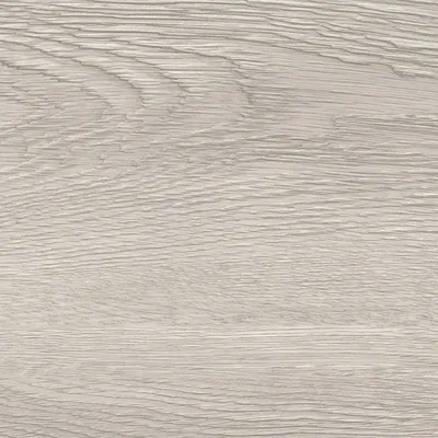 Eagle Grey