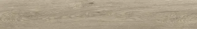 Forest Roble